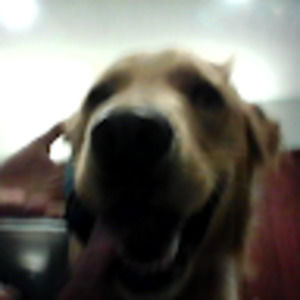 Meet your Posher, Jace